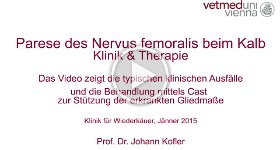 39 Parese Nervus femoralis 2 Therapie